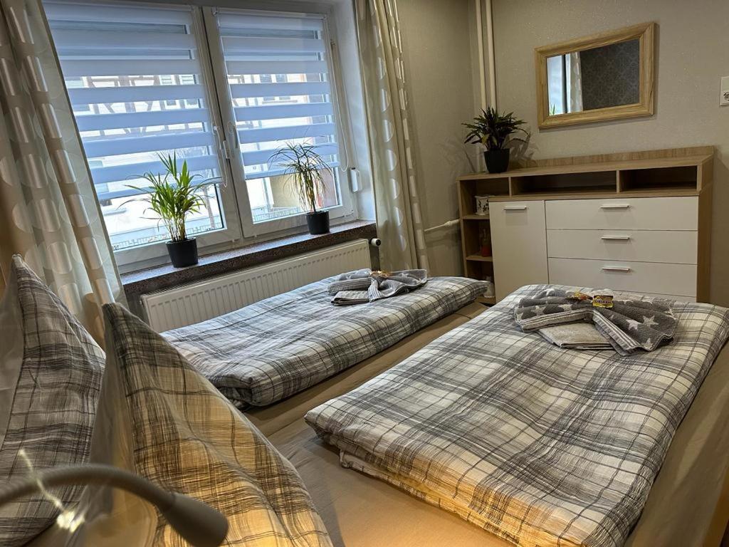 Christels Ferienwohnung 2 In Thale Mit Ueberdachter Terrasse, Kueche Mit Tv & Geschirrspueler Bagian luar foto